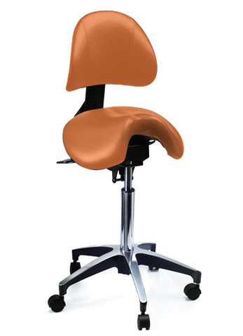 Björn Series SX600 with Backrest
