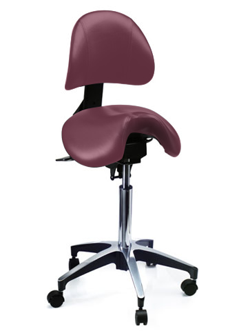 Björn Series SX600 with Backrest