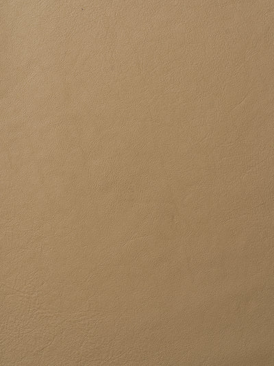 Elmosoft 03009