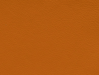 Elmosoft 54033